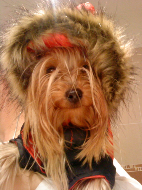 mf_372566742_8716c52965db4968669ea7b7cc9fe122